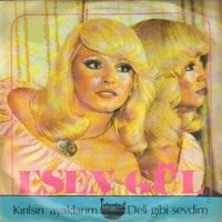 Deli Gibi Sevdim