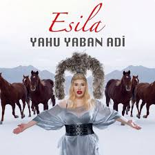 Yahu Yaban Adi