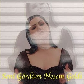 Seni Gördüm Neşem Geldi