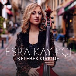 Kelebek Orkide