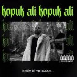 Kopuk Ali