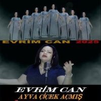 Ayva Çiçek Açmış