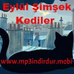Kediler