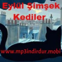 Kediler