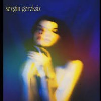 Sevgin Gereksiz