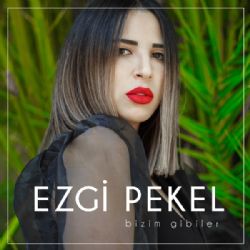 Bizim Gibiler