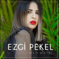 Bizim Gibiler