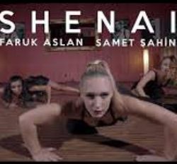 Shenai