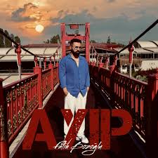 Ayıp