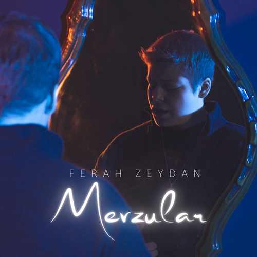 Mevzular