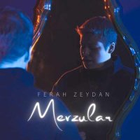 Mevzular