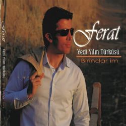 Yedi Yılın Türküsü