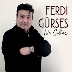 Ne Çıkar