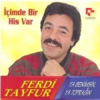 İçimde Bir His Var