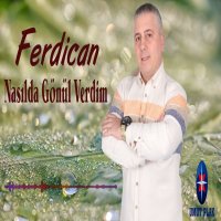 Nasılda Gönül Verdim