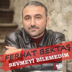 Sevmeyi Bilemedim
