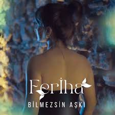 Bilmezsin Aşkı
