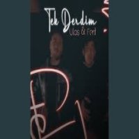 Tek Derdim