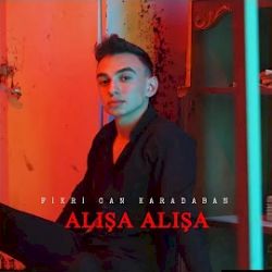 Alışa Alışa