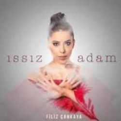 Issız Adam