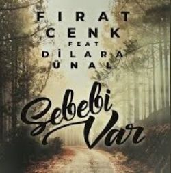 Sebebi Var