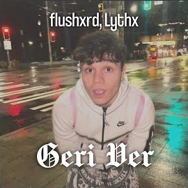 Geri Ver