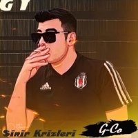 Sinir Krizleri