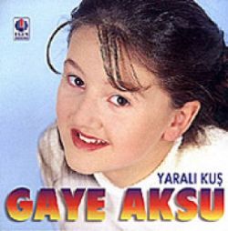 Yaralı Kuş