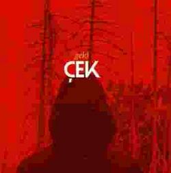 Çek