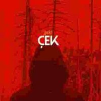 Çek