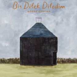 Bir Dilek Diledim