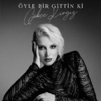 Öyle Bir Gittin Ki