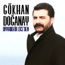 Diyarbekir Liceden