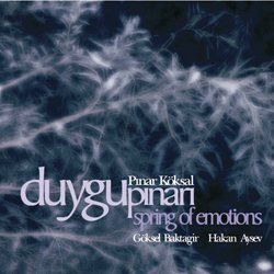 Duygu Pınarı