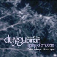 Duygu Pınarı