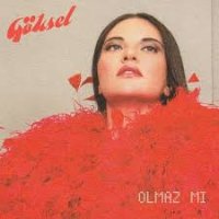Olmaz mı