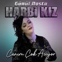 Canım Çok Acıyor