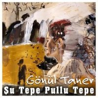 Şu Tepe Pullu Tepe