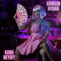 Konu Neydi