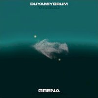 Duyamıyorum