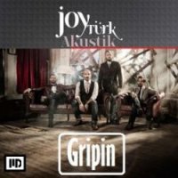 Joytürk Akustik