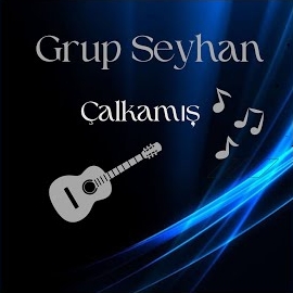 Çalkamış