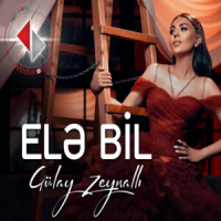 Ele Bil