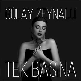 Tek Başına