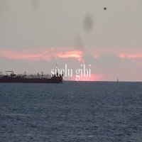 Suçlu gibi