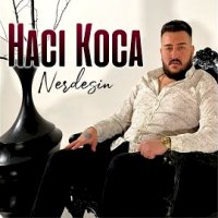 Nerdesin