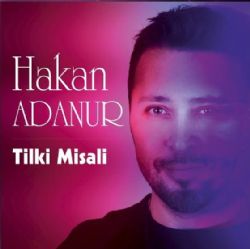 Tilki Misali