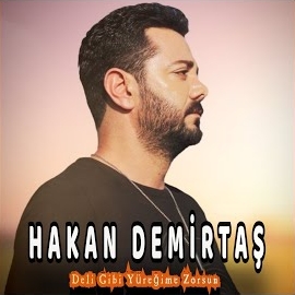 Deli Gibi Yüreğime Zorsun