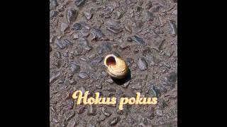 Hokus pokus