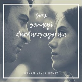 Seni Sevmeyi Durduramıyorum